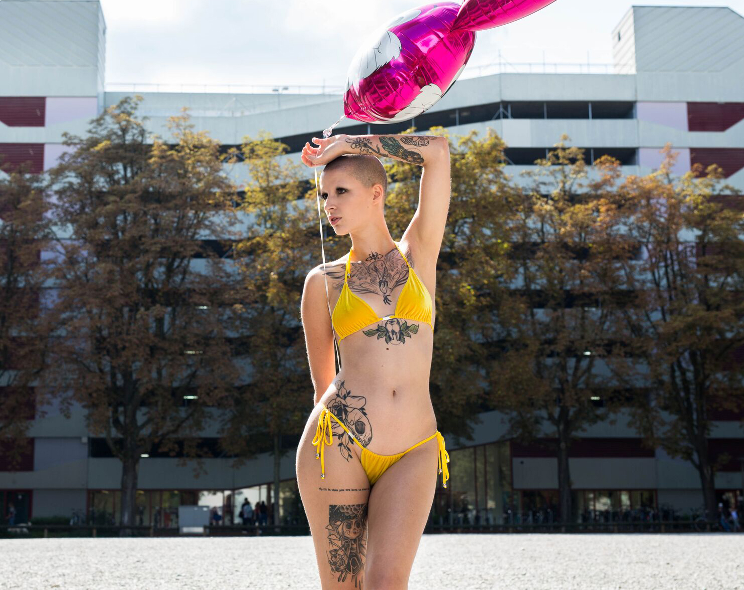 aSS_B905_image-2.jpg